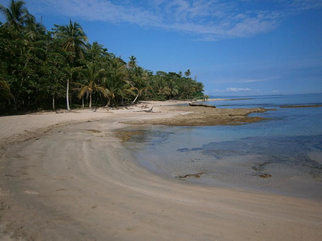 Sunrise Beach Hotel Puerto Viejo de Talamanca Exteriör bild
