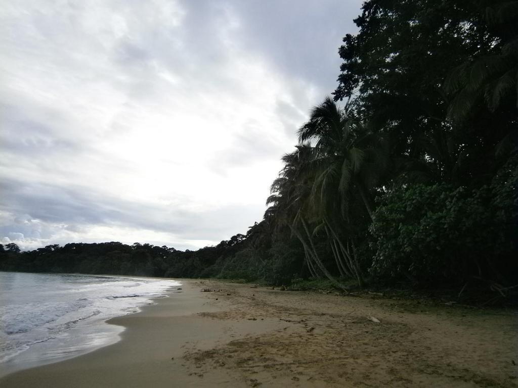 Sunrise Beach Hotel Puerto Viejo de Talamanca Exteriör bild