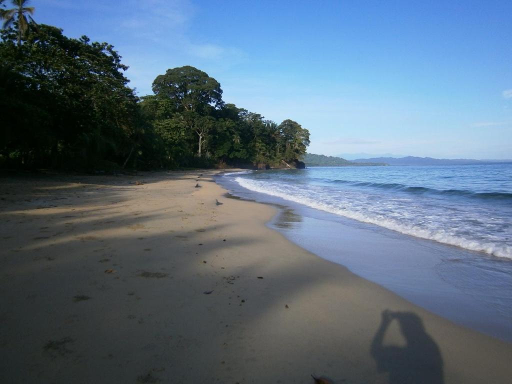 Sunrise Beach Hotel Puerto Viejo de Talamanca Exteriör bild