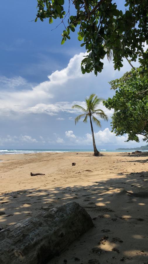 Sunrise Beach Hotel Puerto Viejo de Talamanca Exteriör bild